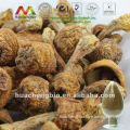 ISO&GMP Polysaccharides Agaricus Blazei Murill Powder